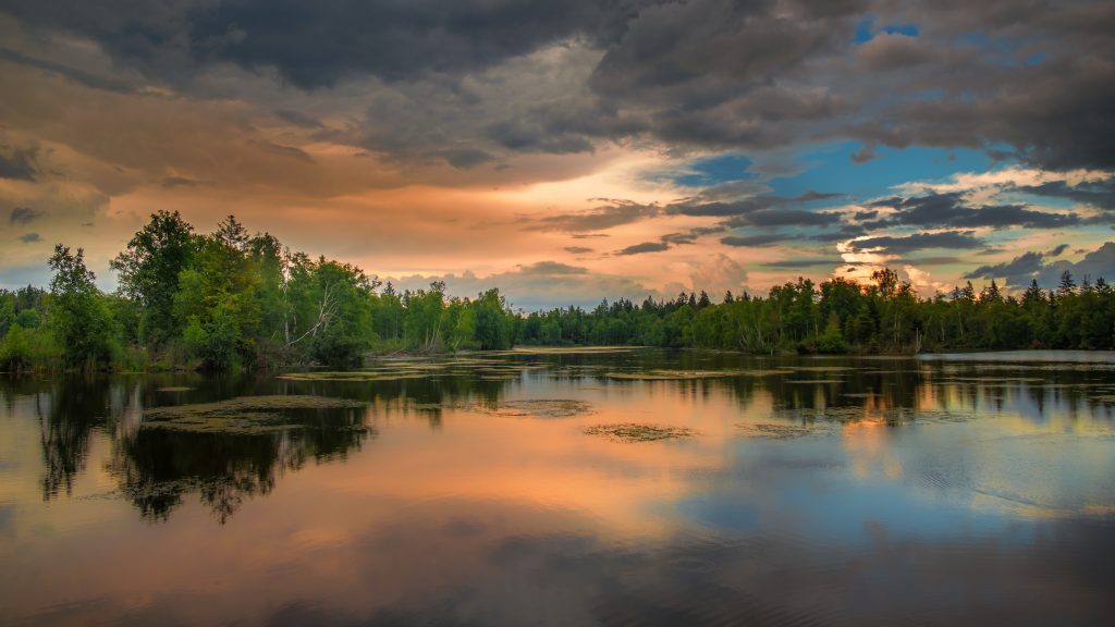 Forest Lake Management District - Comfort Lake Forest Lake